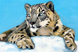 snowleopard2008.jpg